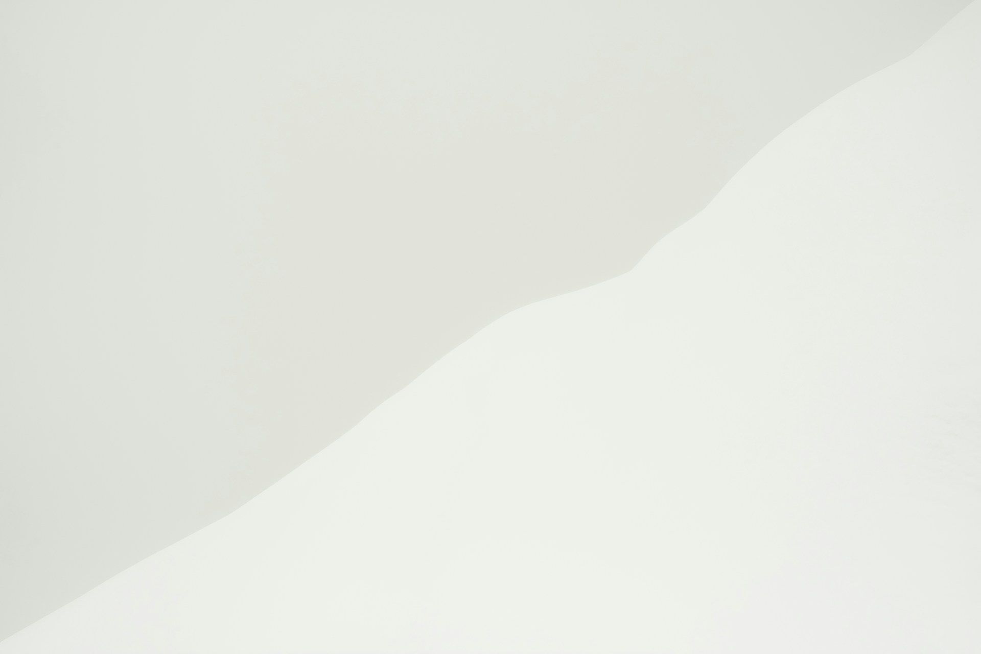 Dalla linea all'opera